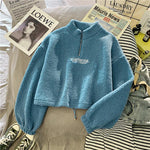 Load image into Gallery viewer, Cashmere Short High Collar Hoodies
