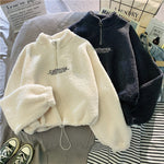 Load image into Gallery viewer, Cashmere Short High Collar Hoodies